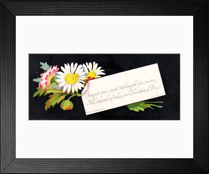Framed Print : Daisies on a Christmas card Framed Print : Daisies on a Christmas card