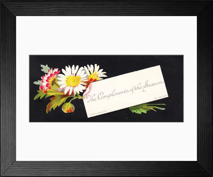 Framed Print : Daisies on a Christmas card Framed Print : Daisies on a Christmas card