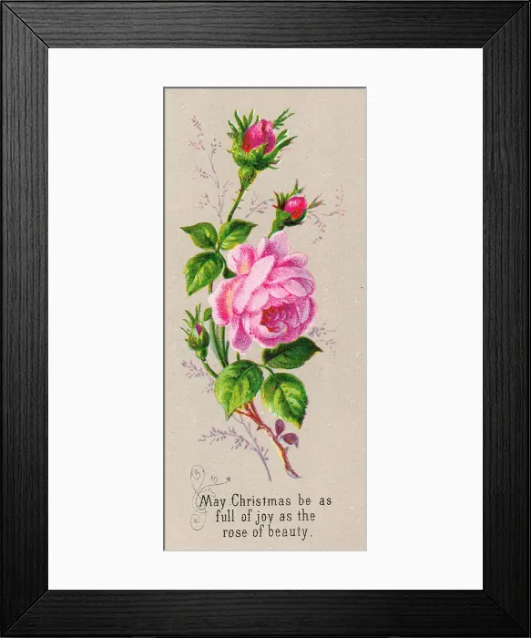 Framed Print : Pink roses on a Christmas card Framed Print : Pink roses on a Christmas card