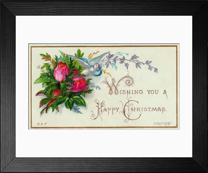 : Pink roses and a dove on a Christmas card : Pink roses and a dove on a Christmas card