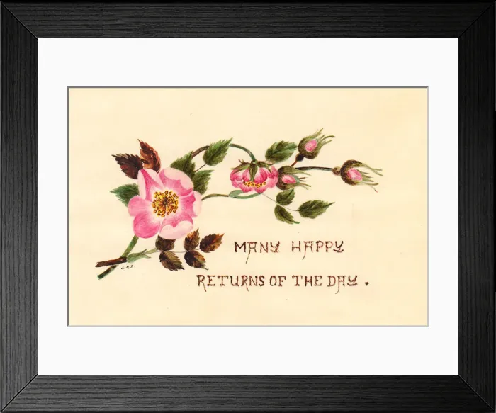 Framed Print : Pink flowers and buds on a hand-coloured birthday card Framed Print : Pink flowers and buds on a hand-coloured birthday card