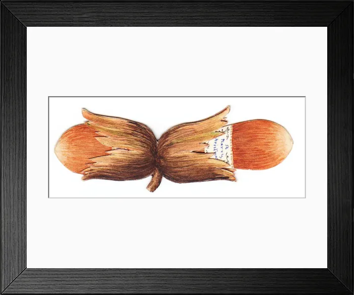 Framed Print : Handmade Christmas card in the shape of nuts Framed Print : Handmade Christmas card in the shape of nuts