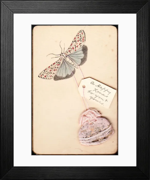 Framed Print : Moth on a handmade Christmas card Framed Print : Moth on a handmade Christmas card