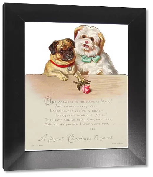 Two dogs, Jack and Nell, on a cutout Christmas card