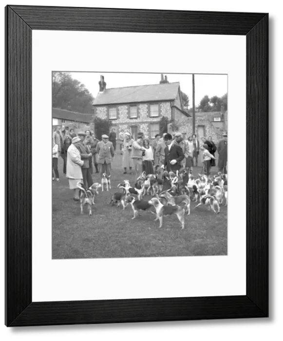 : Fox Meet, East Dean, East Sussex : Fox Meet, East Dean, East Sussex