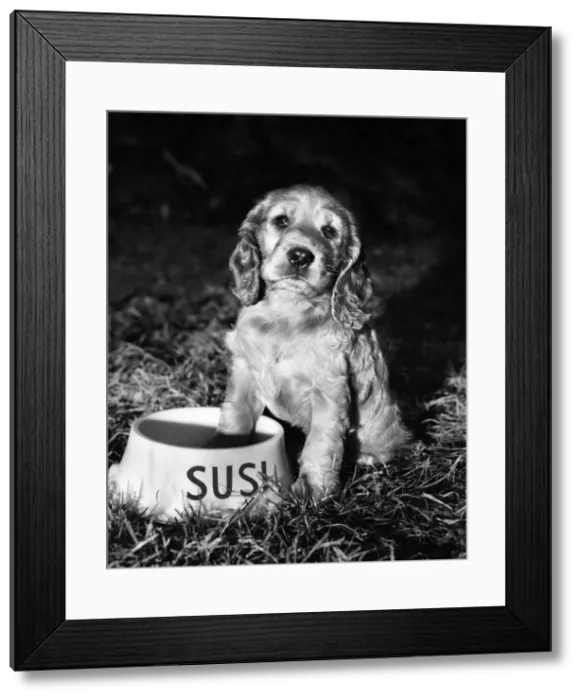Framed Print : Susi - with empty bowl Framed Print : Susi - with empty bowl