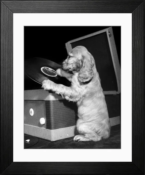 Framed Print : Susi - with record player Framed Print : Susi - with record player