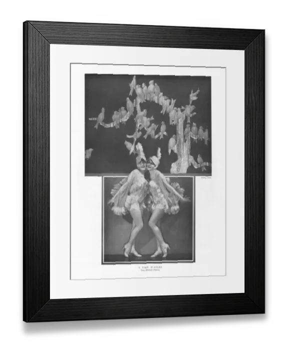 Framed Print : Dodge Sisters in La Grande Folie at the Folies Bergere, Pari Framed Print : Dodge Sisters in La Grande Folie at the Folies Bergere, Pari
