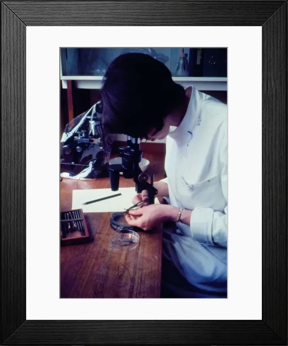 Framed Print : Anti-Locust Research Centre, London Framed Print : Anti-Locust Research Centre, London