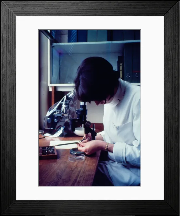 Framed Print : Anti-Locust Research Centre, London Framed Print : Anti-Locust Research Centre, London