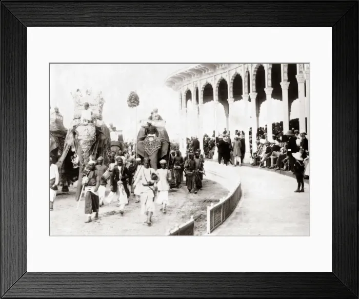 Framed Print : Elephants, Delhi Durbar, India 1903 Framed Print : Elephants, Delhi Durbar, India 1903
