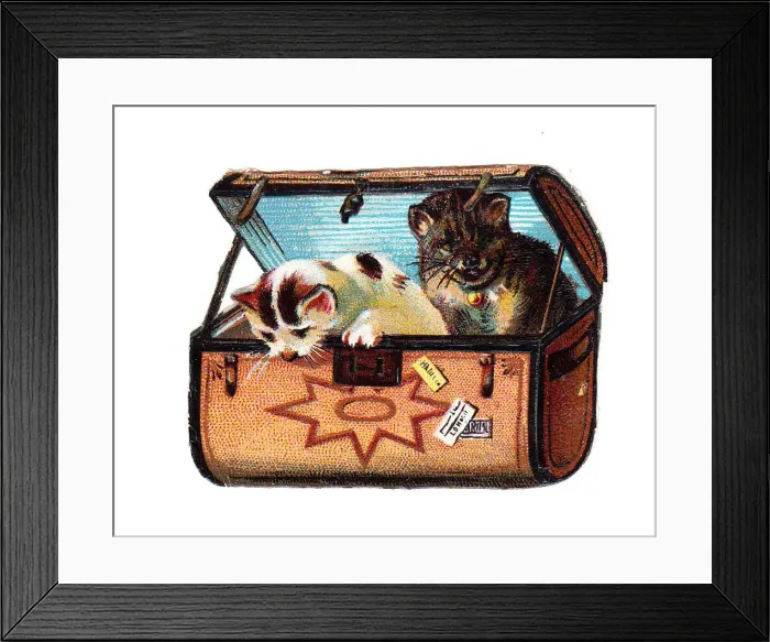 : Two cats in a suitcase on a Victorian scrap : Two cats in a suitcase on a Victorian scrap