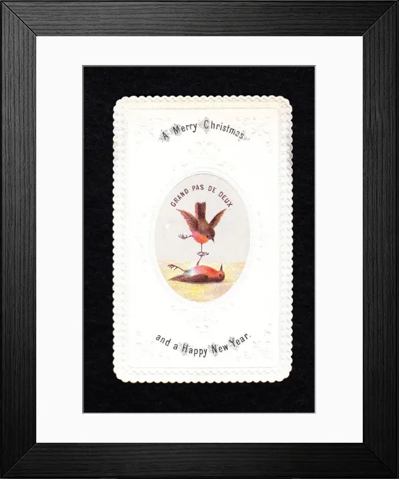 Framed Print : Two robins dancing on a Christmas and New Year card Framed Print : Two robins dancing on a Christmas and New Year card