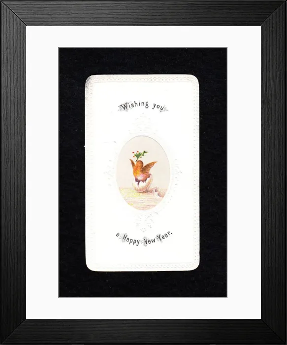 Framed Print : Robin hatching from egg on a New Year card