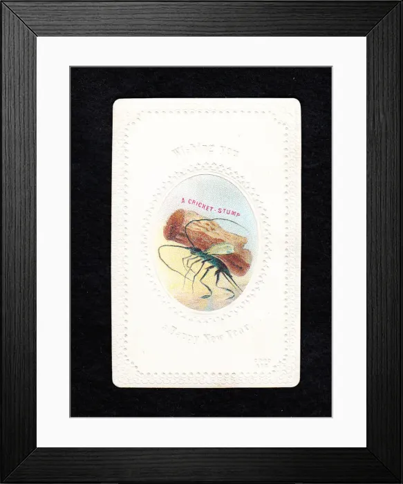 Framed Print : Insect carrying a stump on a New Year card Framed Print : Insect carrying a stump on a New Year card