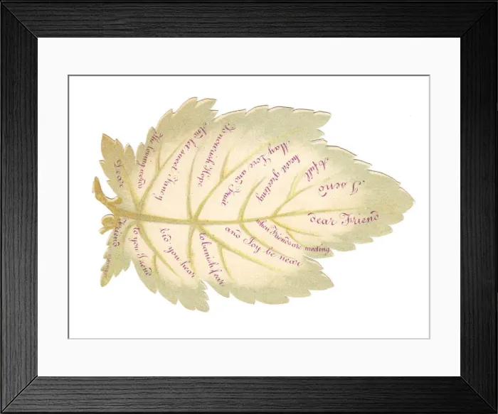Framed Print : Greetings card in the shape of a white leaf Framed Print : Greetings card in the shape of a white leaf