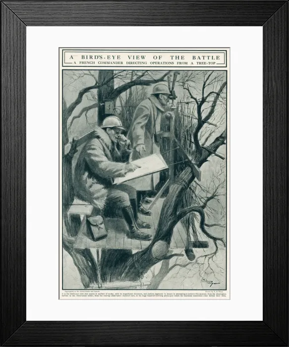 Framed Print : French Commander directing operations from tree top 1917 Framed Print : French Commander directing operations from tree top 1917