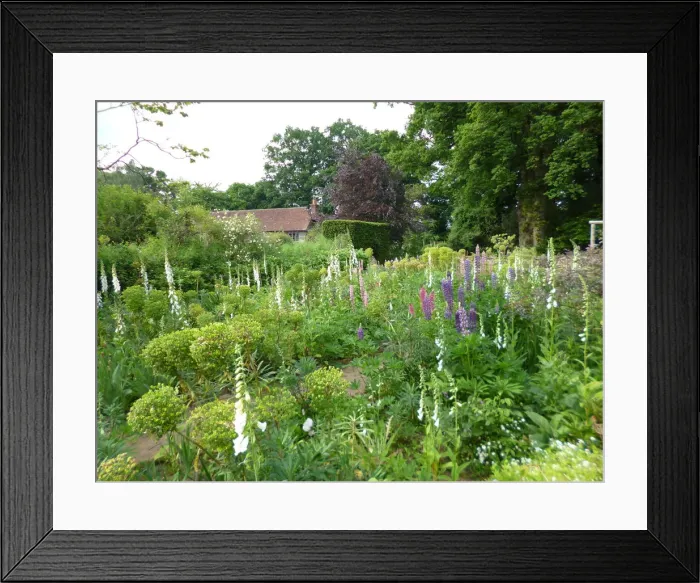 Framed Print : Munstead Wood and Gardens - home of Gertrude Jekyll Framed Print : Munstead Wood and Gardens - home of Gertrude Jekyll