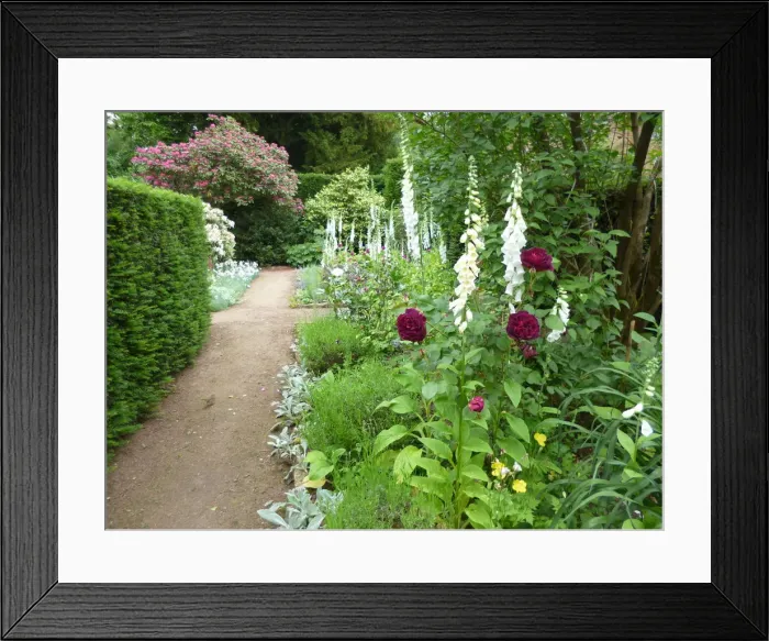 Framed Print : Munstead Wood and Gardens - home of Gertrude Jekyll Framed Print : Munstead Wood and Gardens - home of Gertrude Jekyll