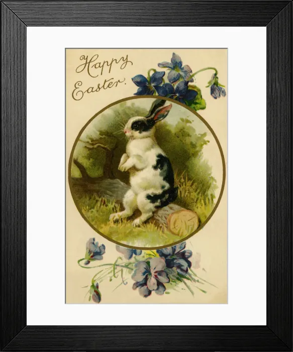 Framed Print : Easter bunny Framed Print : Easter bunny