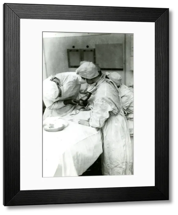 Framed Print : Surgeon preparing new skin in graft surgery Framed Print : Surgeon preparing new skin in graft surgery
