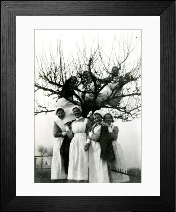Framed Print : Nurses up a tree Framed Print : Nurses up a tree