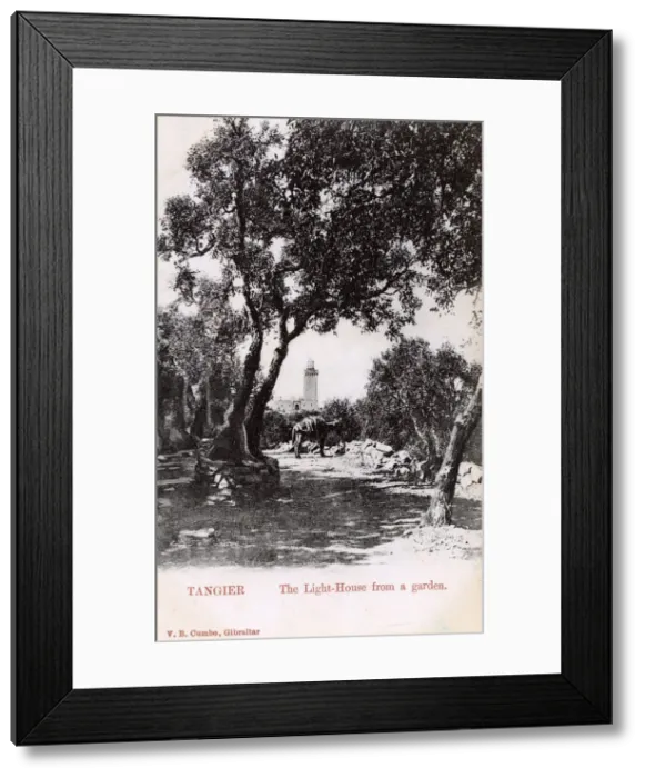 Framed Print : Tangier, Morocco - The Lighthouse viewed from a garden Framed Print : Tangier, Morocco - The Lighthouse viewed from a garden