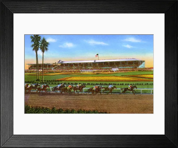Framed Print : Pasadena, California, USA - Santa Anita Park, Arcadia Framed Print : Pasadena, California, USA - Santa Anita Park, Arcadia