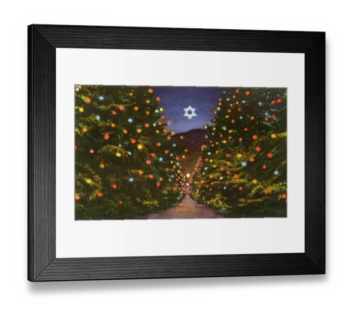 Framed Print : Pasadena, California, USA - The Christmas Tree Street Framed Print : Pasadena, California, USA - The Christmas Tree Street