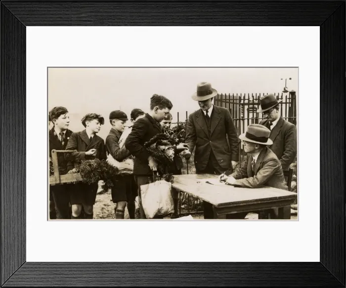 Framed Print : WW2 - English schoolboys buy vegetables from school garden Framed Print : WW2 - English schoolboys buy vegetables from school garden