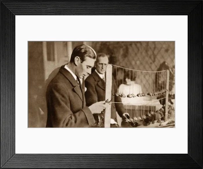 Framed Print : Duke of York - inspecting Armistice Day Poppies Framed Print : Duke of York - inspecting Armistice Day Poppies
