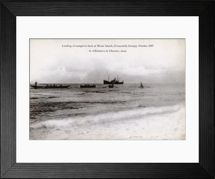 Framed Print : Loading of Mangrove Bark - Menai Island, Cosmoledo Group Framed Print : Loading of Mangrove Bark - Menai Island, Cosmoledo Group
