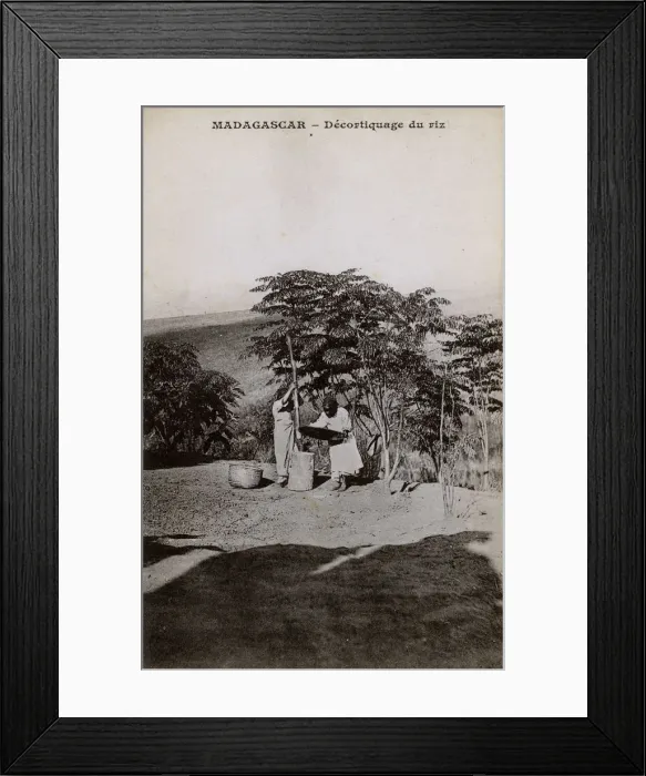 Framed Print : Madagascar - Shelling (De-husking) Rice Framed Print : Madagascar - Shelling (De-husking) Rice