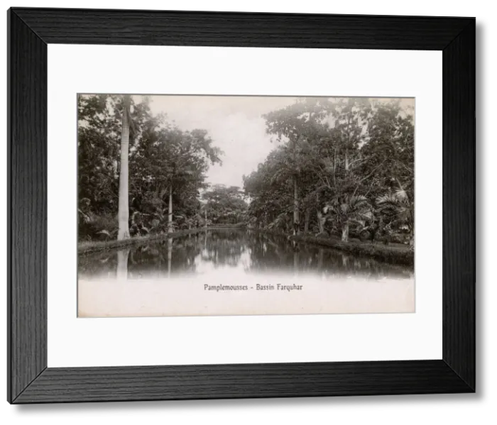 Framed Print : Mauritius - Pamplemousses - Basin Farquar