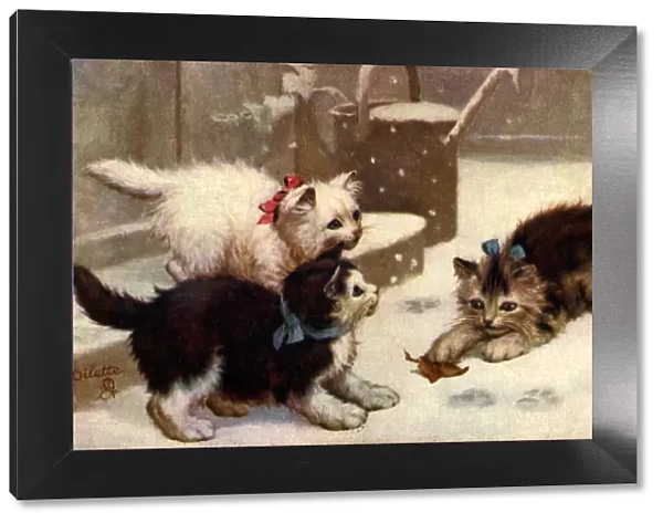 Kittens Playing with Leaf in the Snow Date: 1910