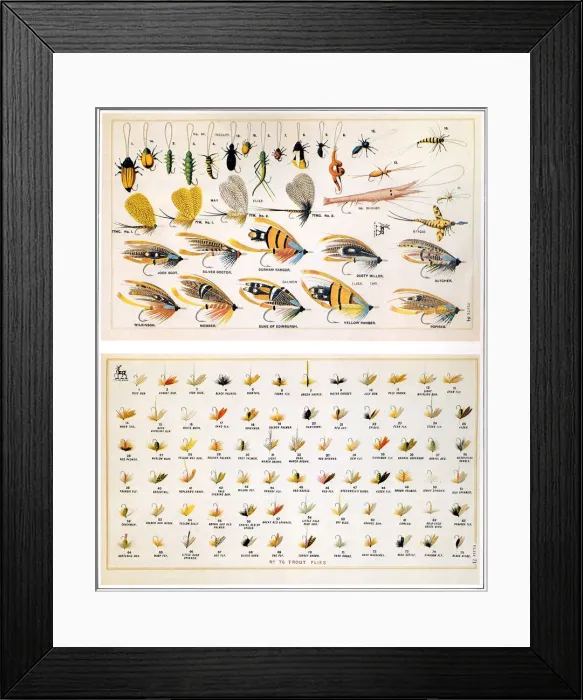 Framed Print : Flies Date: 1887 Framed Print : Flies Date: 1887