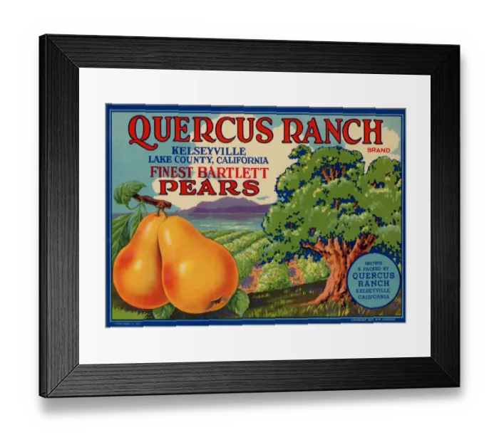 Framed Print : Pears and Farm Framed Print : Pears and Farm