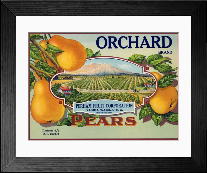 Framed Print : Pear Label Framed Print : Pear Label