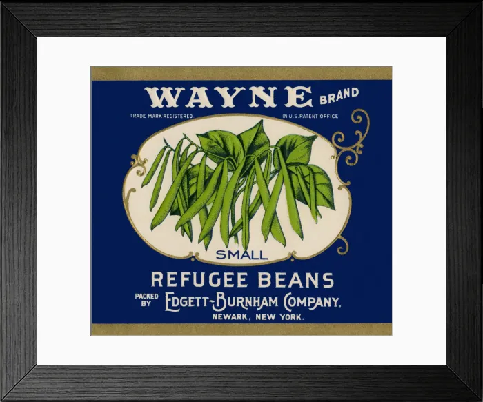 Framed Print : Ripe Green Beans