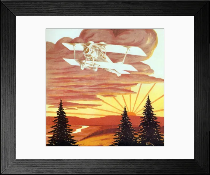 Framed Print : Plane in Sunset Framed Print : Plane in Sunset