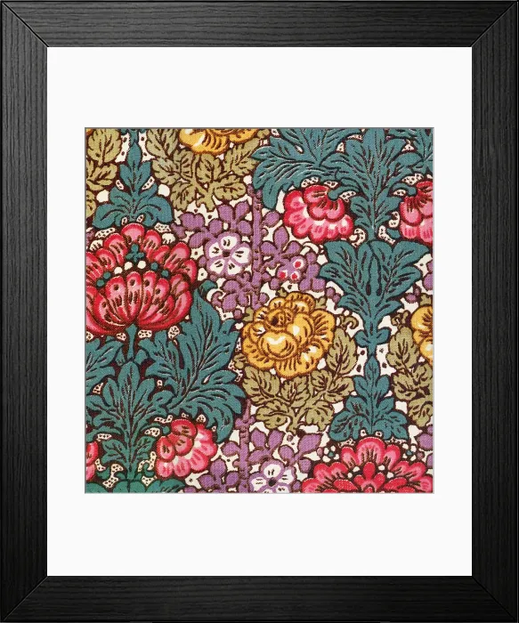 Framed Print : Primula Floral Date: 1911 Framed Print : Primula Floral Date: 1911