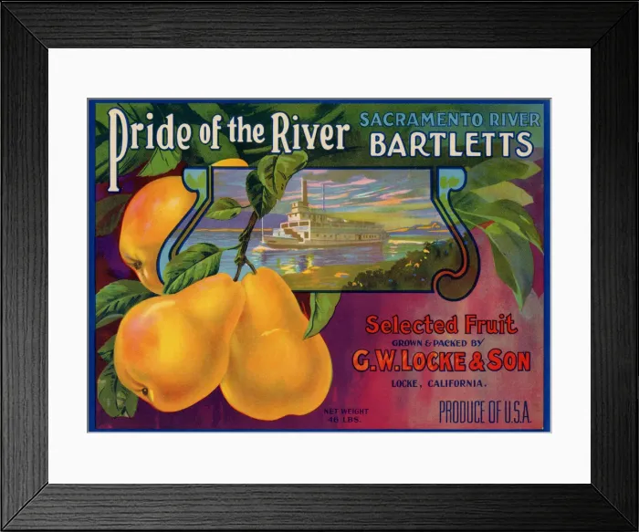 Framed Print : Pears and Boat Framed Print : Pears and Boat