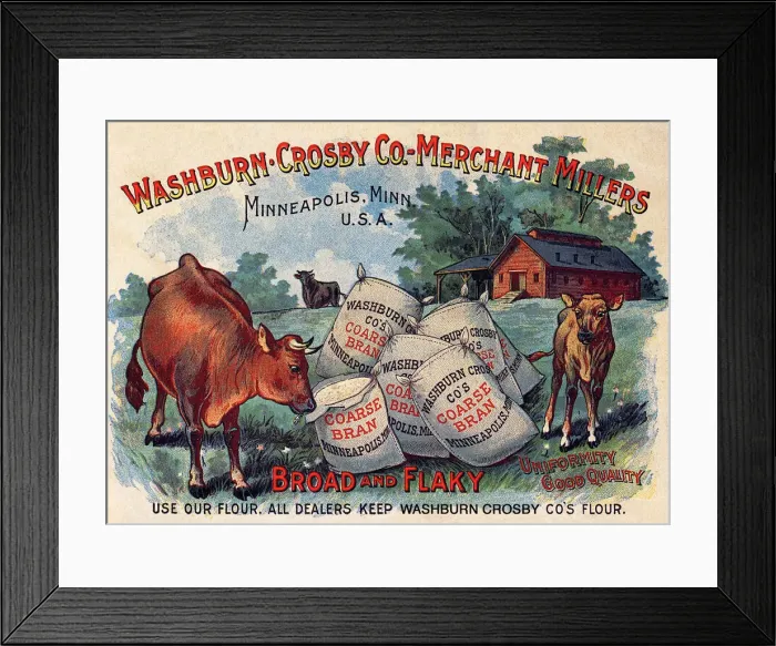 Framed Print : Cows Raid Grain Sacks Framed Print : Cows Raid Grain Sacks