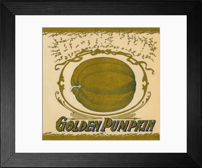Framed Print : Golden Pumpkin Label Framed Print : Golden Pumpkin Label