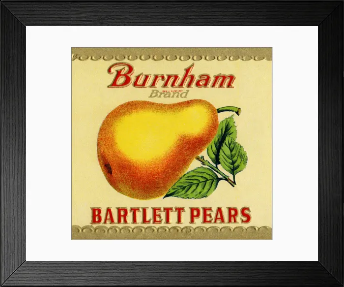 Framed Print : Bartlett Pear Label Framed Print : Bartlett Pear Label