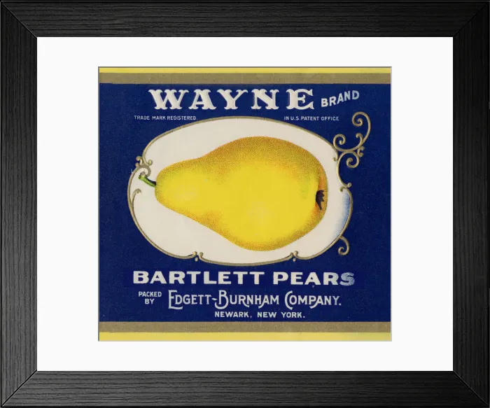 Framed Print : Bartlett Pear Label Framed Print : Bartlett Pear Label