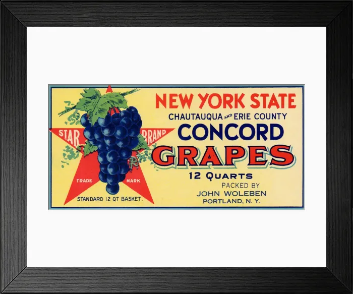 Framed Print : Concord Grape Label Framed Print : Concord Grape Label