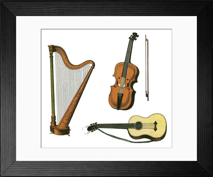 Framed Print : Variety of Instruments Date: 1880 Framed Print : Variety of Instruments Date: 1880