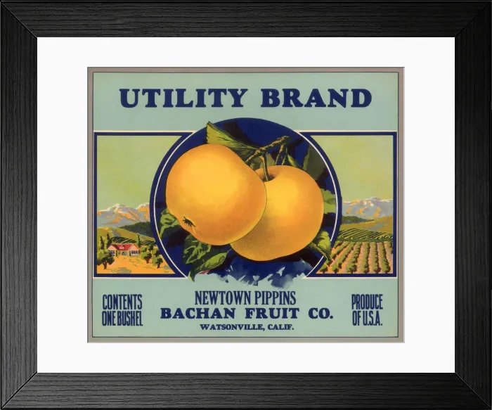 Framed Print : Pippin Apple Label Framed Print : Pippin Apple Label