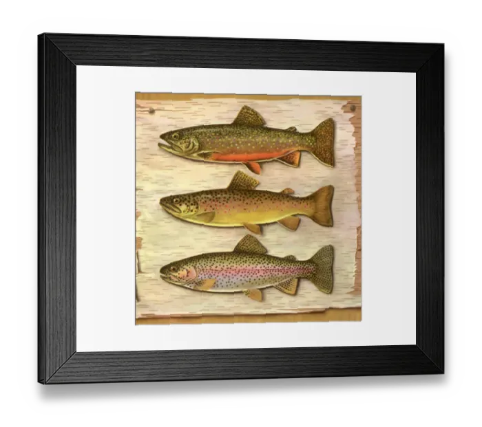 Framed Print : Three Stuffed Trout Date: 1950 Framed Print : Three Stuffed Trout Date: 1950